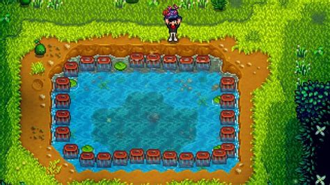 Best Places for Crab Pot Farming in Stardew Valley .